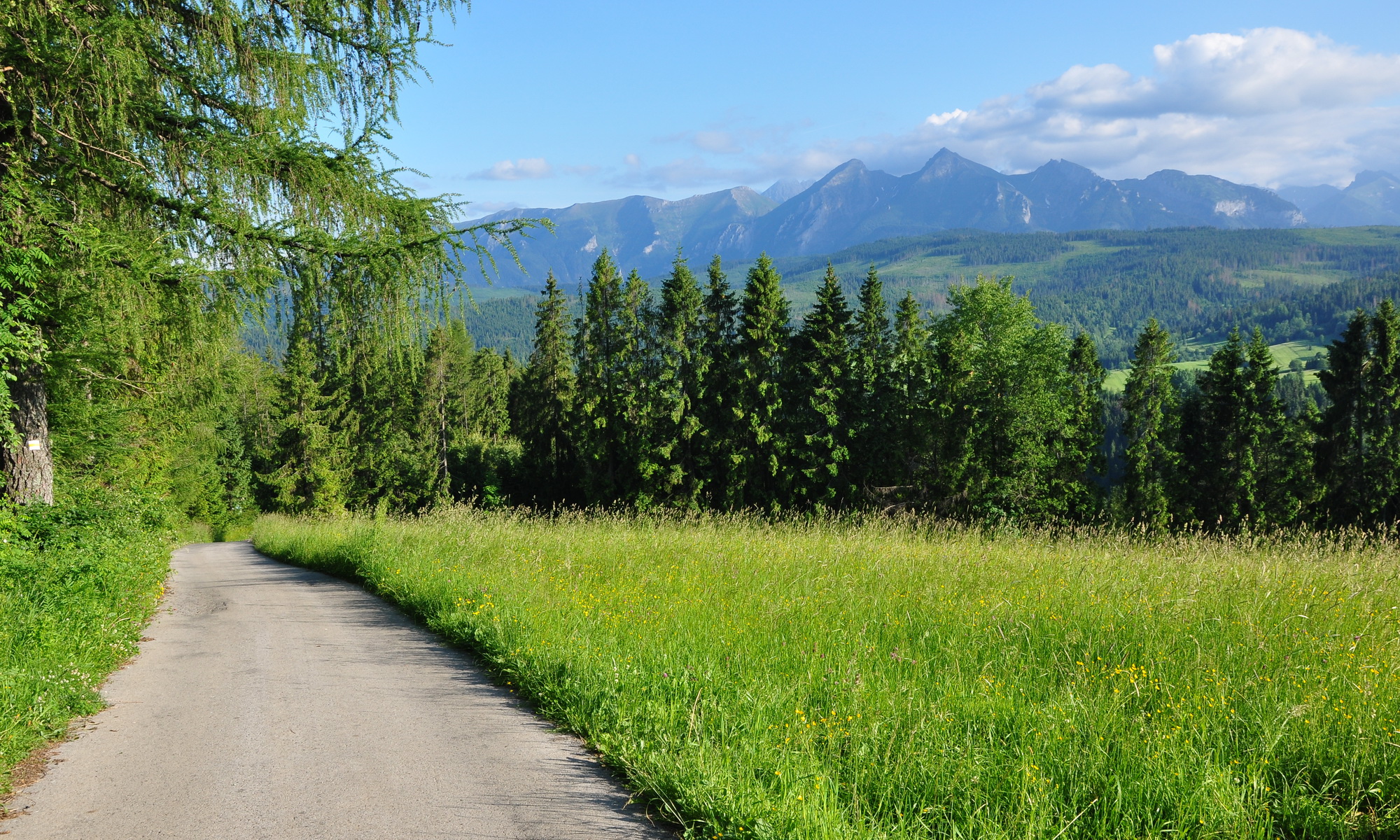 wyprawy rowerowe